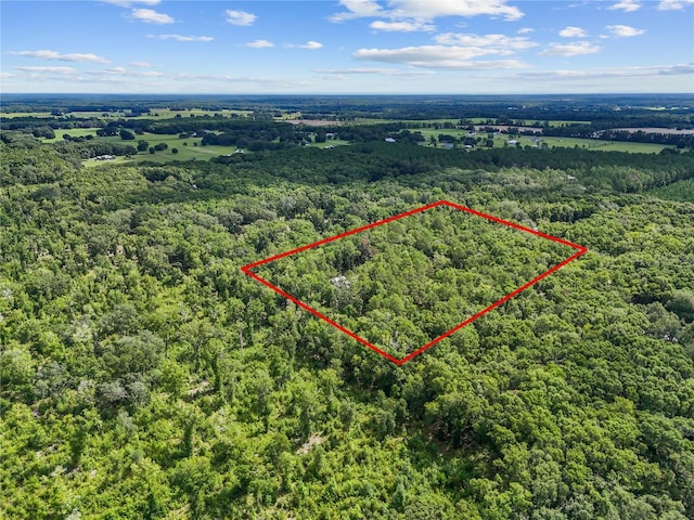 13602 NW 236th Ter, High Springs, FL 32643 - photo 4