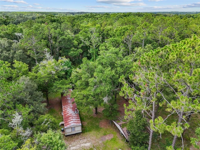 13602 NW 236th Ter, High Springs, FL 32643 - photo 11