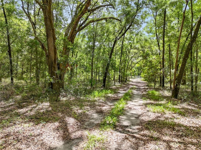 13602 NW 236th Ter, High Springs, FL 32643 - photo 12