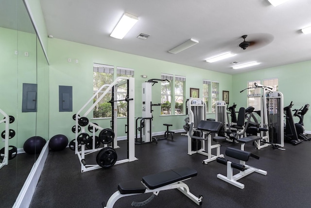 9177 SW 52nd Rd Unit E302, Gainesville, FL 32608 - gym featuring ceiling fan and electric panel