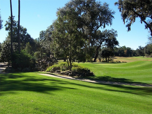 9177 SW 52nd Rd Unit E302, Gainesville, FL 32608 - view of community with view of golf course, a yard, and view of scattered trees