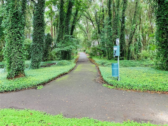 9177 SW 52nd Rd Unit E302, Gainesville, FL 32608 - surrounding community featuring a forest view