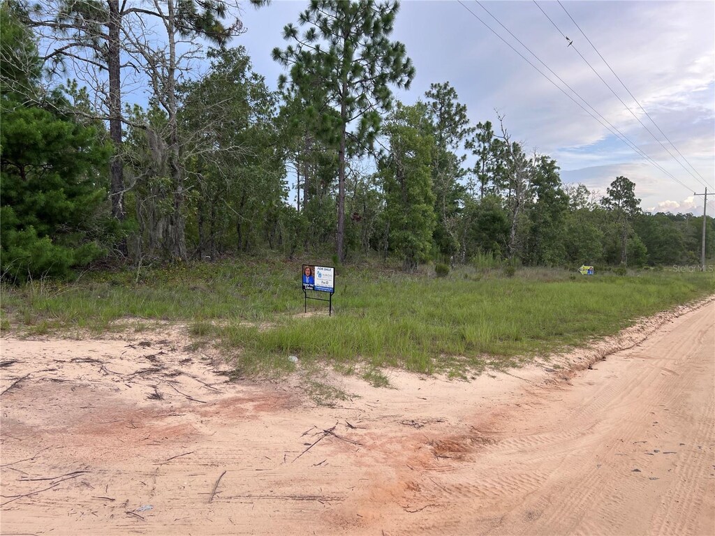 2104 Main St, Hawthorne, FL 32640 - photo 1