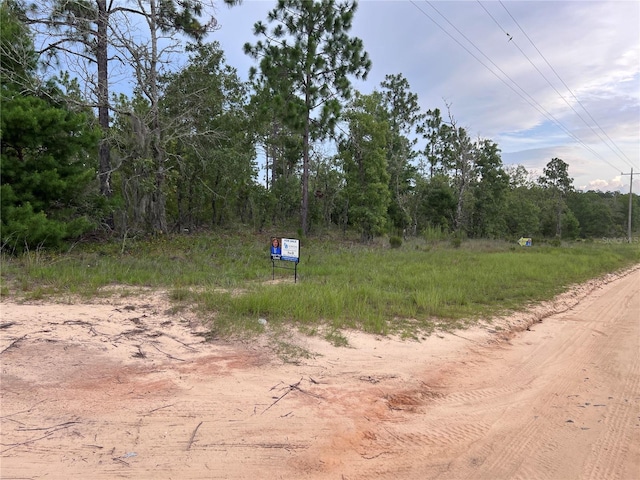 2104 Main St, Hawthorne, FL 32640 - photo 1