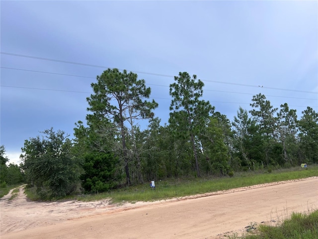2104 Main St, Hawthorne, FL 32640 - photo 4