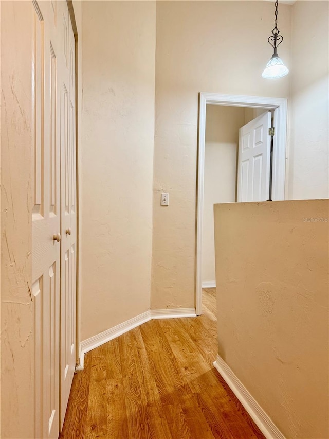 3901 SW 20th Ave Unit 611, Gainesville, FL 32607 - corridor with wood finished floors and baseboards