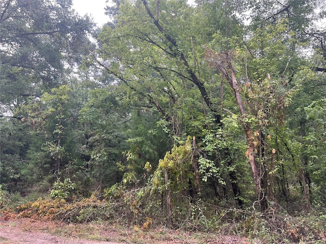 NE 70th Ave, High Springs, FL 32643 - photo 5