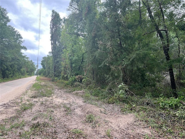 NE 70th Ave, High Springs, FL 32643 - photo 6