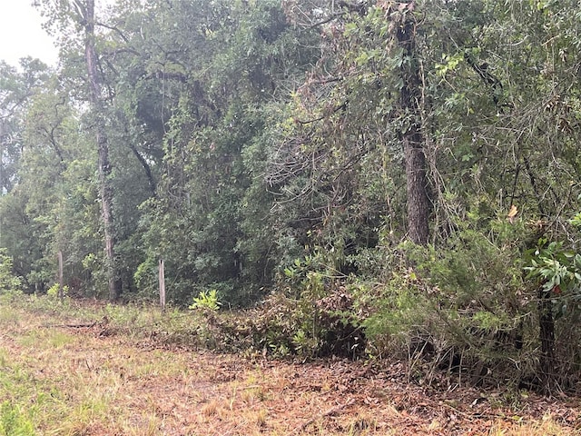 NE 70th Ave, High Springs, FL 32643 - photo 9