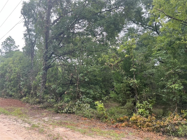 NE 70th Ave, High Springs, FL 32643 - photo 11