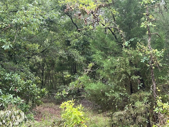 NE 70th Ave, High Springs, FL 32643 - photo 12