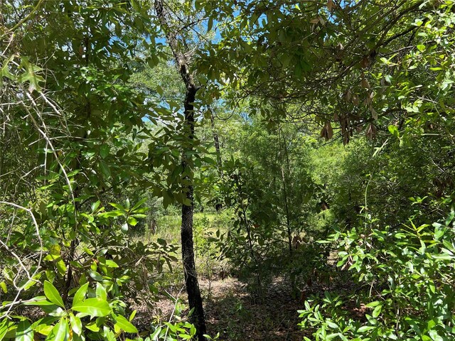 NE 70th Ave, High Springs, FL 32643 - photo 15