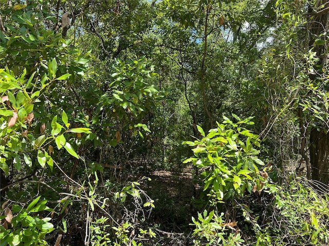 NE 70th Ave, High Springs, FL 32643 - photo 17
