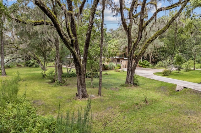32 SW 43rd Ter, Gainesville, FL 32607 - photo 2
