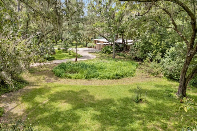 32 SW 43rd Ter, Gainesville, FL 32607 - photo 49