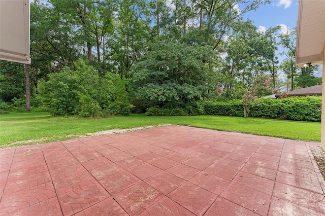 4700 NW 19th Pl, Gainesville, FL 32605 - view of patio / terrace with view of wooded area