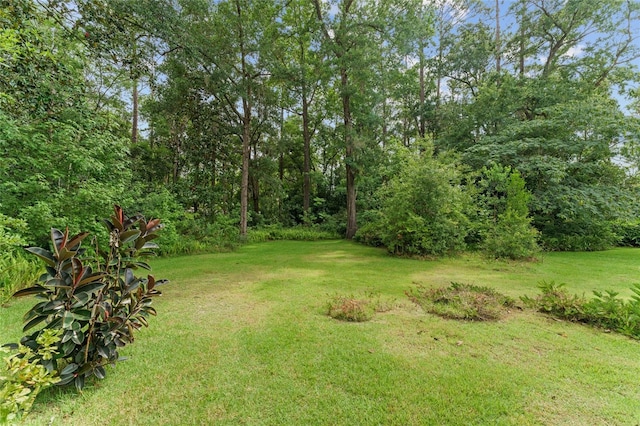 4700 NW 19th Pl, Gainesville, FL 32605 - view of grassy yard