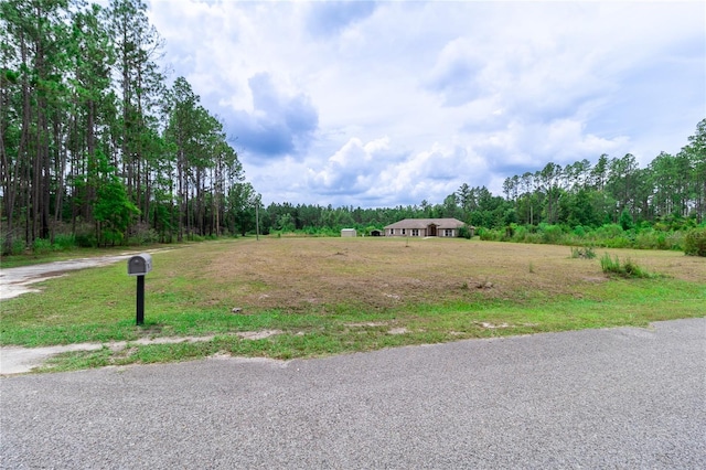 18820 NE 111th Ter, Lake Butler, FL 32054 - photo 35