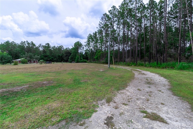 18820 NE 111th Ter, Lake Butler, FL 32054 - photo 36