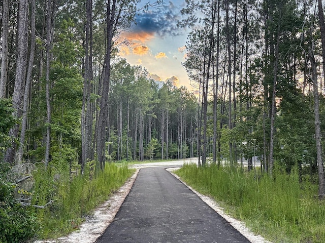 14917 NW County Road 237, Alachua, FL 32615 - photo 21