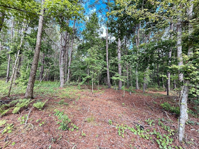 14917 NW County Road 237, Alachua, FL 32615 - photo 23