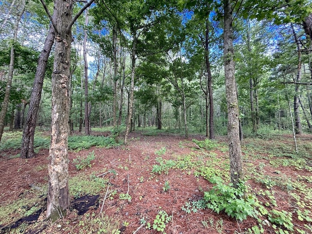 14917 NW County Road 237, Alachua, FL 32615 - photo 24