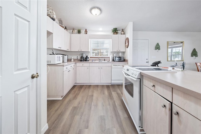 78 SE 901st Ave, Suwannee, FL 32692 - kitchen featuring white appliances, light wood-type flooring, light countertops, healthy amount of natural light, and a textured ceiling
