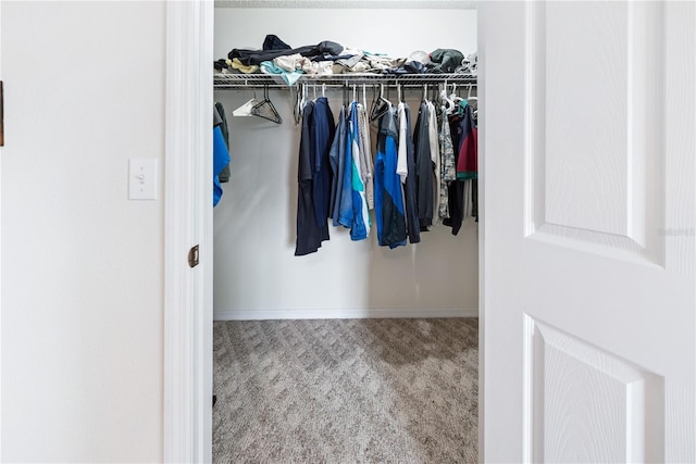 78 SE 901st Ave, Suwannee, FL 32692 - walk in closet with carpet floors