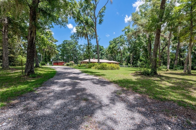 8991 NW 115th St, Chiefland, FL 32626 - photo 8