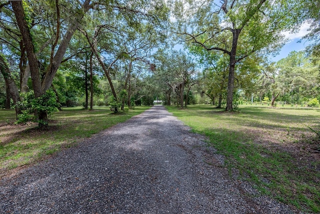 8991 NW 115th St, Chiefland, FL 32626 - photo 9