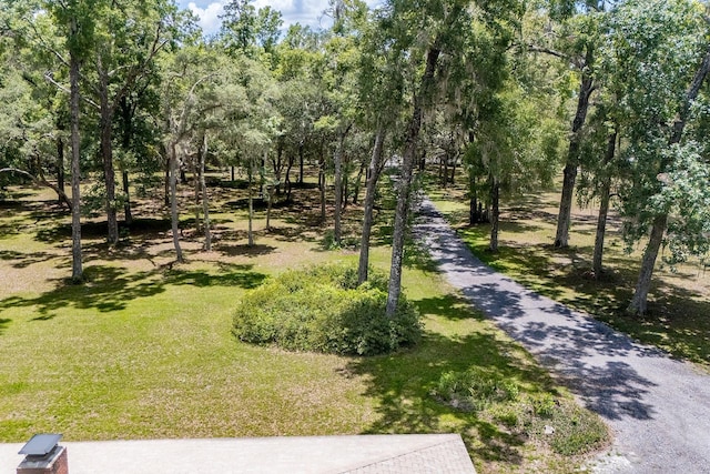 8991 NW 115th St, Chiefland, FL 32626 - photo 18
