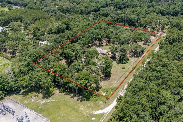 8991 NW 115th St, Chiefland, FL 32626 - photo 22