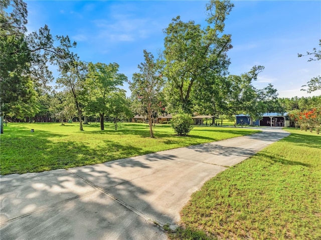 1550 NW 167th Pl, Trenton, FL 32693 - photo 5