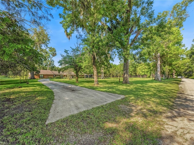 1550 NW 167th Pl, Trenton, FL 32693 - photo 66