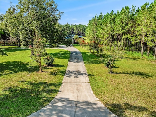 1550 NW 167th Pl, Trenton, FL 32693 - photo 67