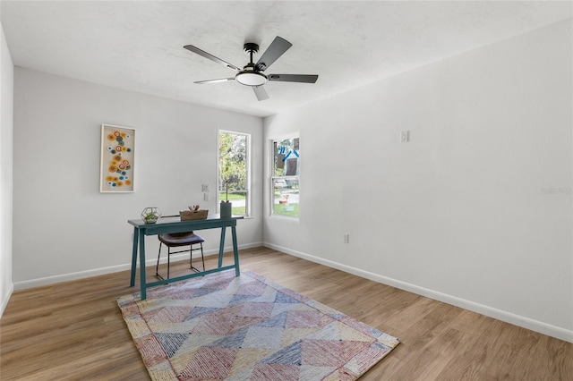 2330 NW 54th Ter, Gainesville, FL 32606 - office with wood finished floors and a ceiling fan