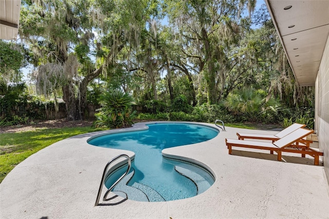 2330 NW 54th Ter, Gainesville, FL 32606 - view of pool with a patio, a fenced backyard, and view of scattered trees