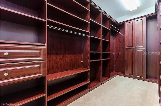 2048 Bristol Grande Way, Orlando, FL 32820 - walk in closet with carpet flooring