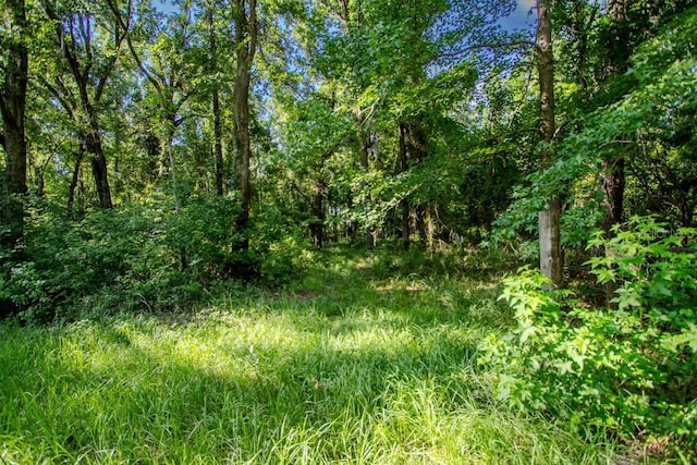 22481 SW County Road 18, Brooker, FL 32622 - photo 38