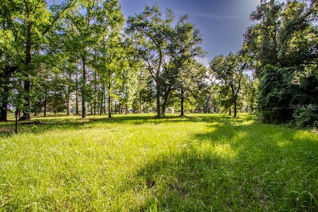 22481 SW County Road 18, Brooker, FL 32622 - photo 39