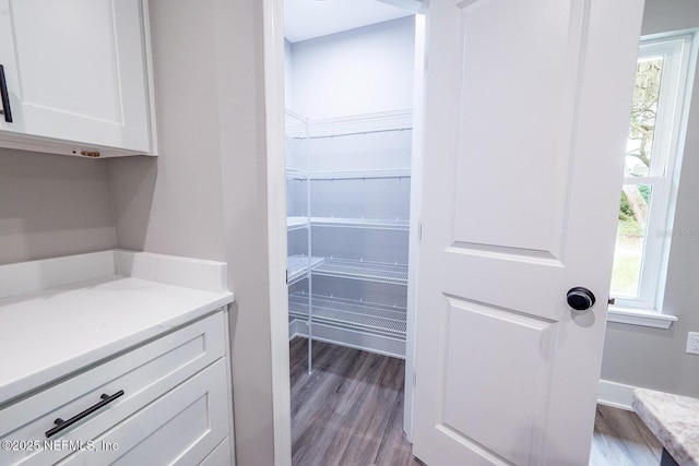 1262 Coral Farms Rd, Florahome, FL 32140 - view of pantry