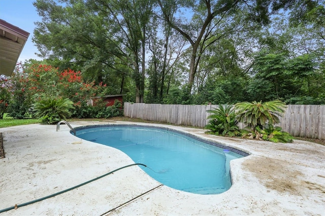 4465 NE 34th Ct, Ocala, FL 34479 - photo 31