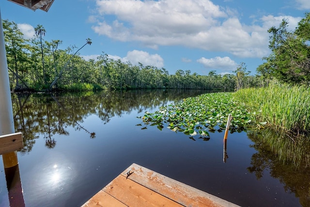 145 SE 904th Ave, Suwannee, FL 32692 - dock featuring a water view