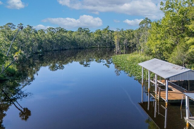 145 SE 904th Ave, Suwannee, FL 32692 - dock with a water view, a view of trees, and boat lift