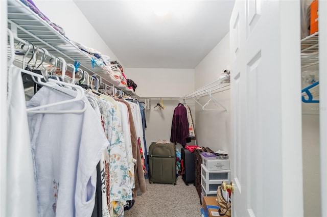 1602 NW 117th Ter, Gainesville, FL 32606 - view of walk in closet