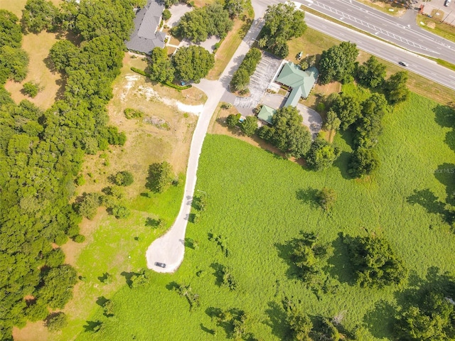 16404 NW 174th Dr, Alachua, FL 32615 - photo 7