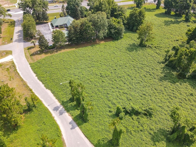 16404 NW 174th Dr, Alachua, FL 32615 - photo 19