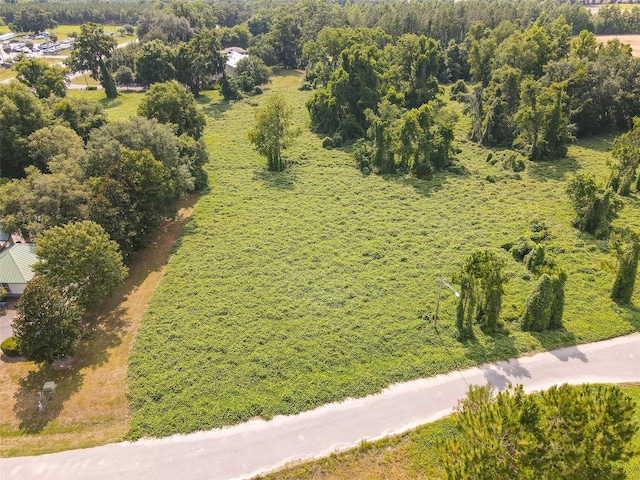 16404 NW 174th Dr, Alachua, FL 32615 - photo 20