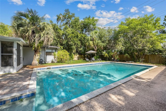2225 NE 6th Ter, Gainesville, FL 32609 - view of swimming pool with a fenced backyard, a patio, and view of scattered trees