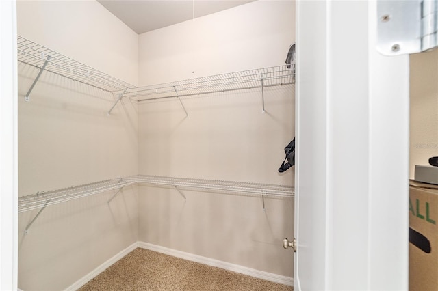 2782 SW 120th Dr, Gainesville, FL 32608 - walk in closet featuring carpet